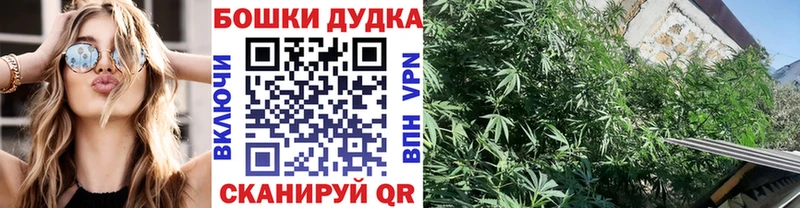 Хочу наркоту Назрань ГАШИШ  A-PVP  Мефедрон  Конопля 