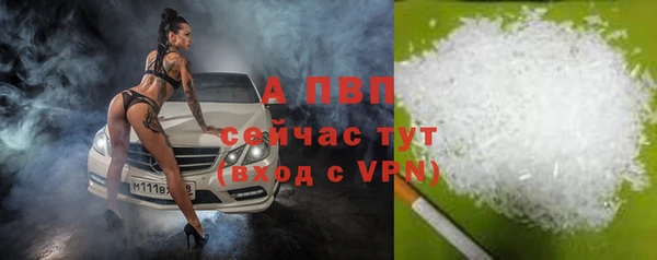 Альфа ПВП Магас