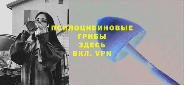 дмт Киров