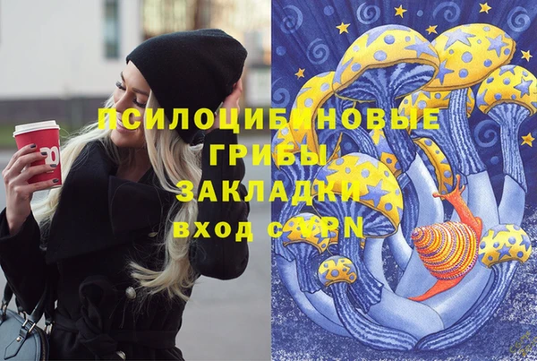 Альфа ПВП Магас