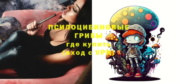 Альфа ПВП Магас